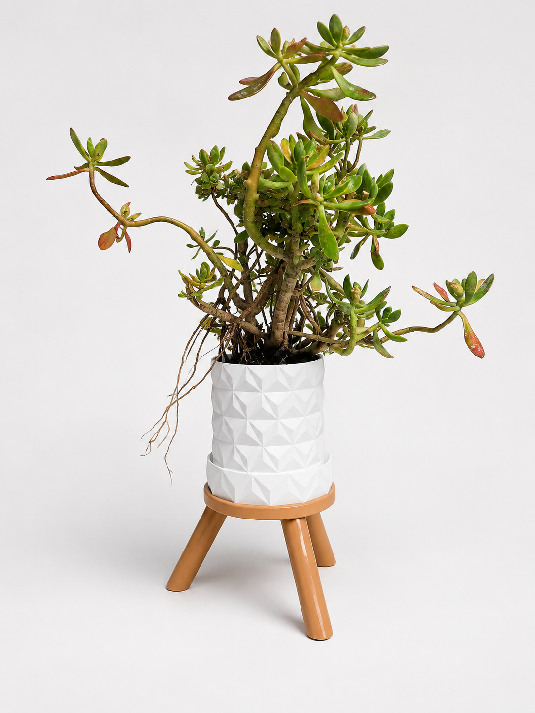 White Planter